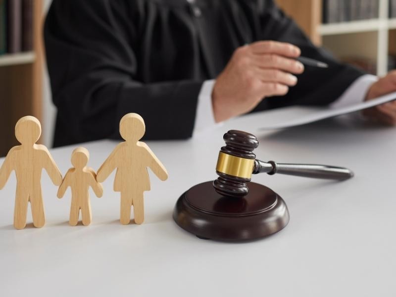 Advogado Especialista em Reversão de Guarda